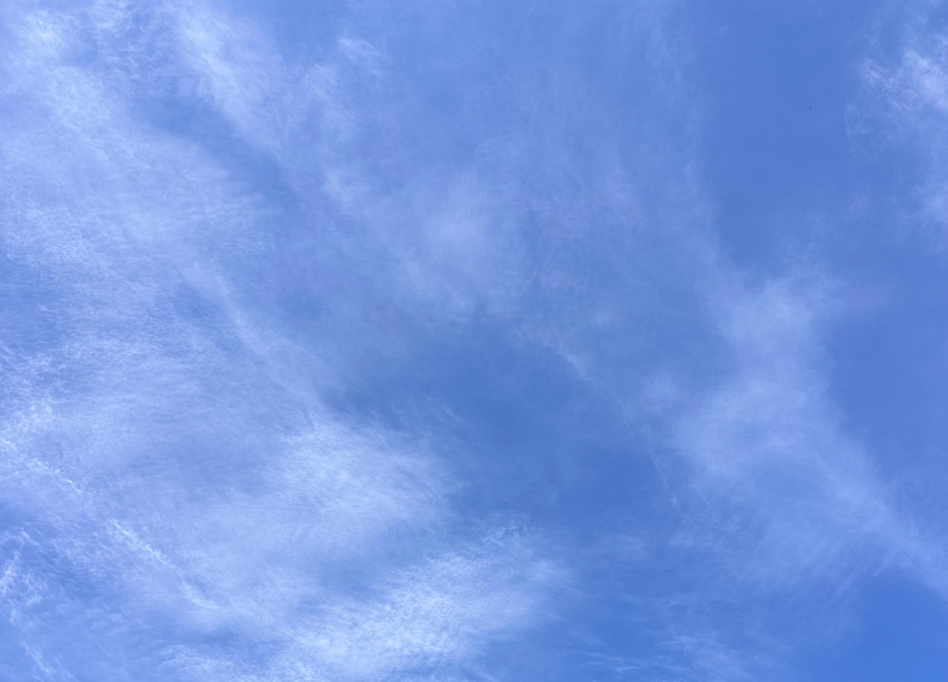 WhatsApp Image 2025-06-25 at 20.25.38.jpeg